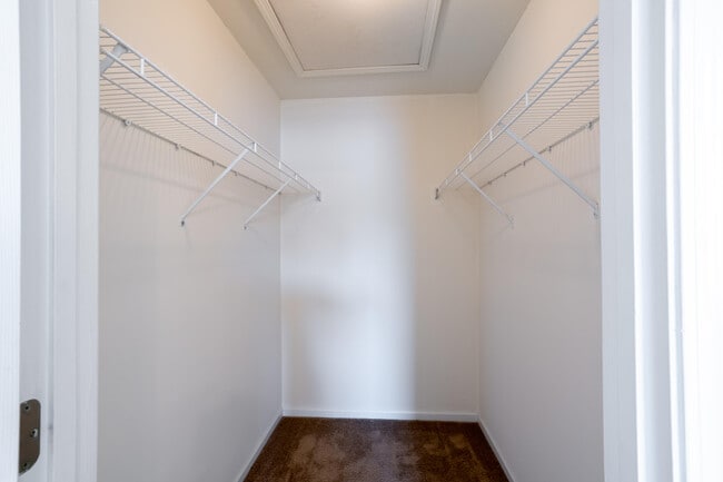 Building Photo - 1704 Juniper Dr