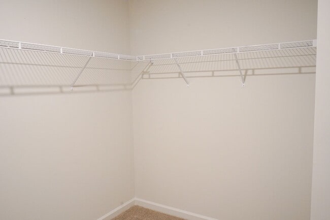 Building Photo - Available Soon!