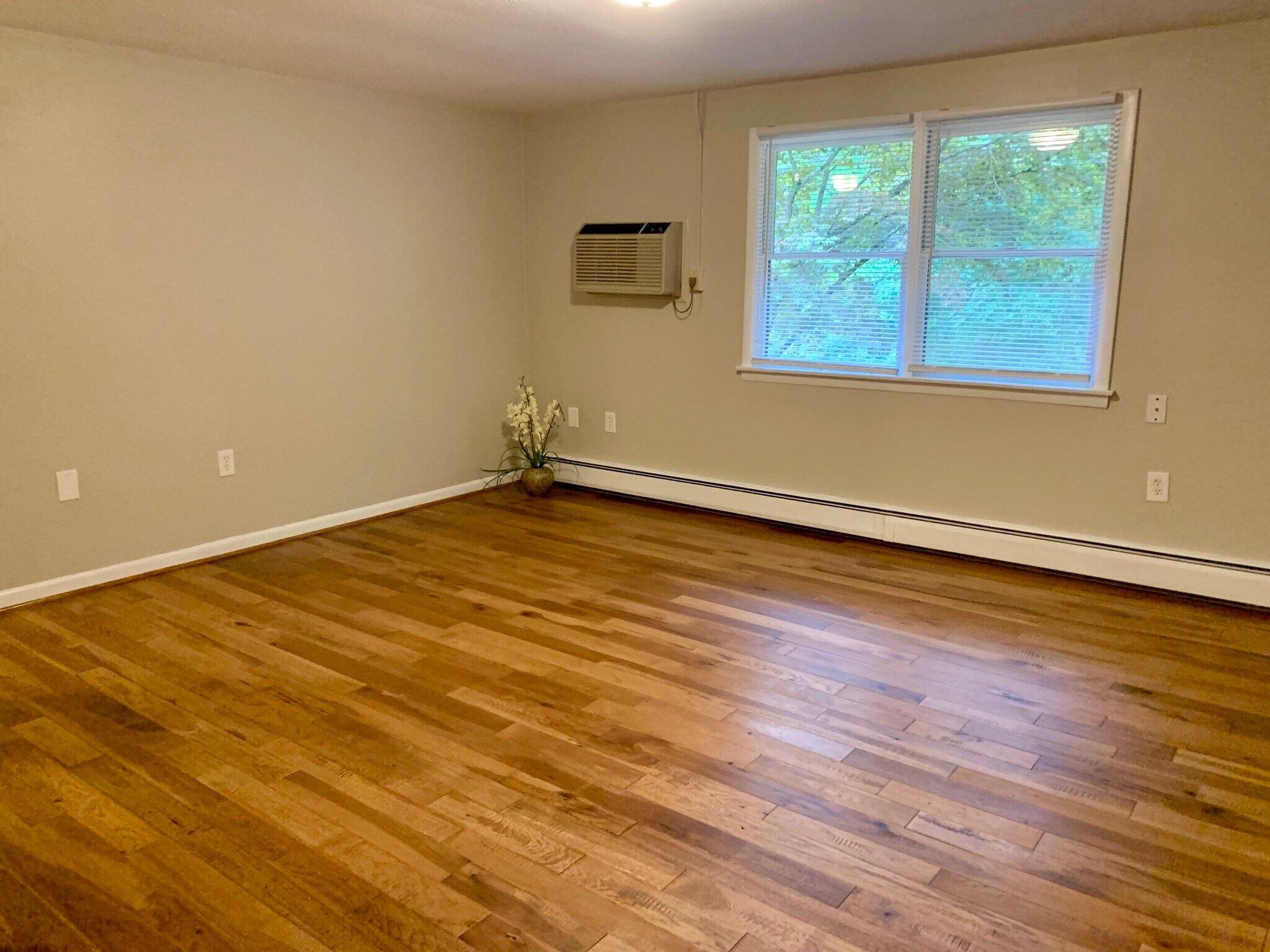 Building Photo - 62 Cisar Rd