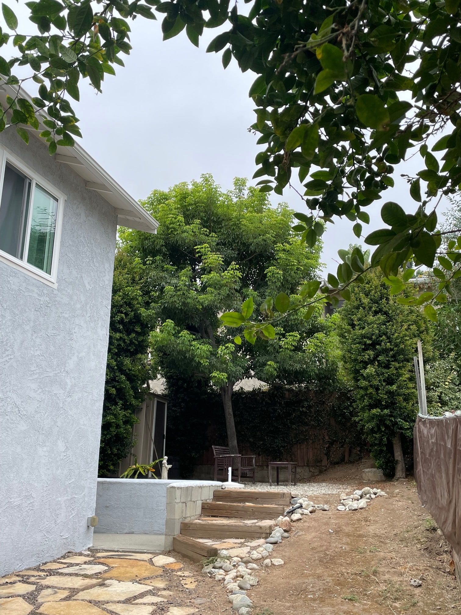 backyard looking east - 1038 Glen Arbor Ave