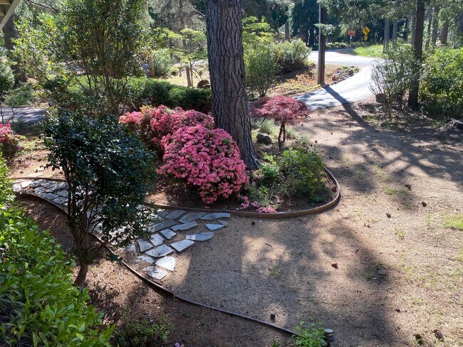 Building Photo - 10959 Alta Sierra Dr