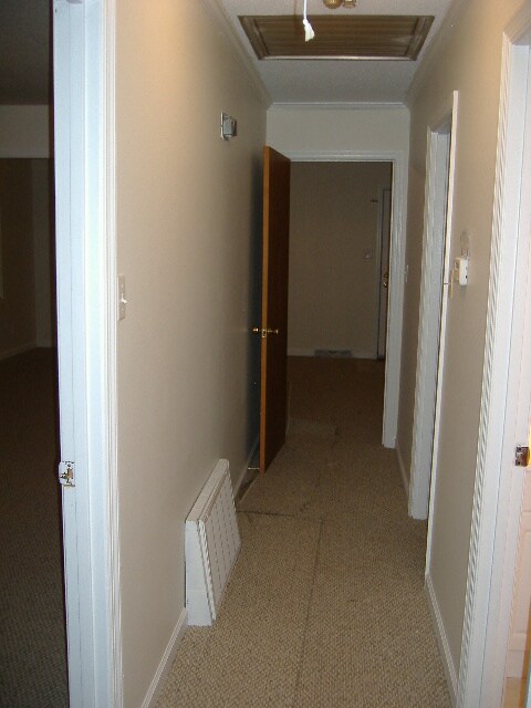 Building Photo - 107 Avondale Rd