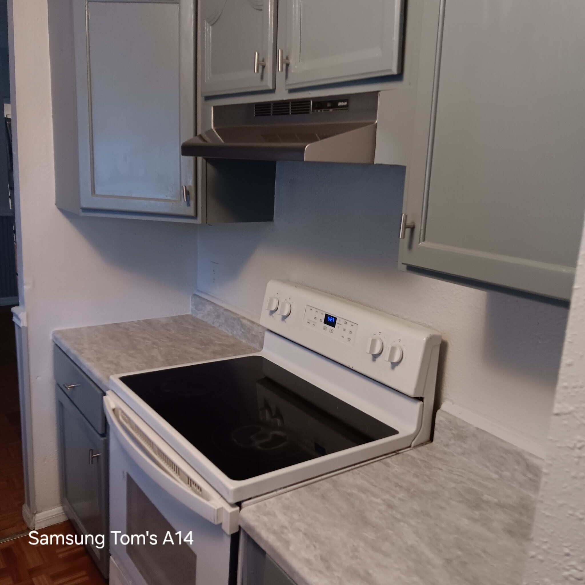 Building Photo - 2420 Elsie Cir