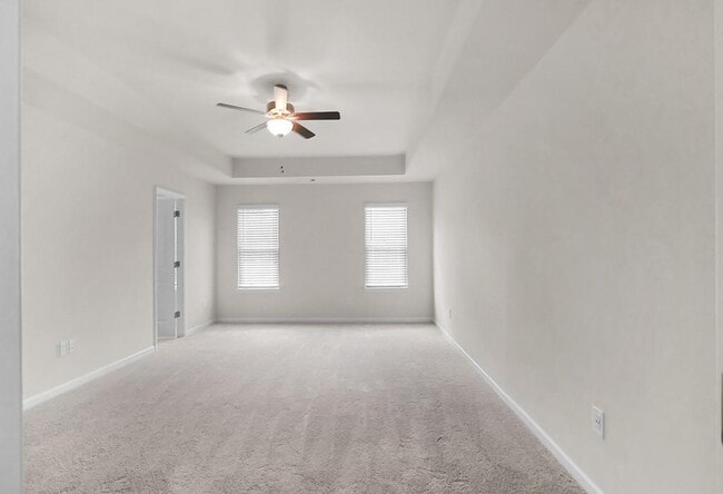 Building Photo - 4719 Canary Diamond Ln