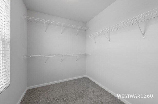 Building Photo - 3439 Birch Ln
