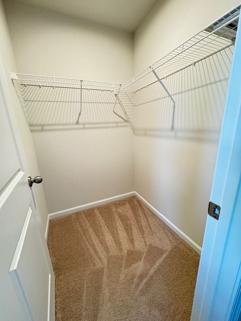 Building Photo - 488 Switchgrass Ct