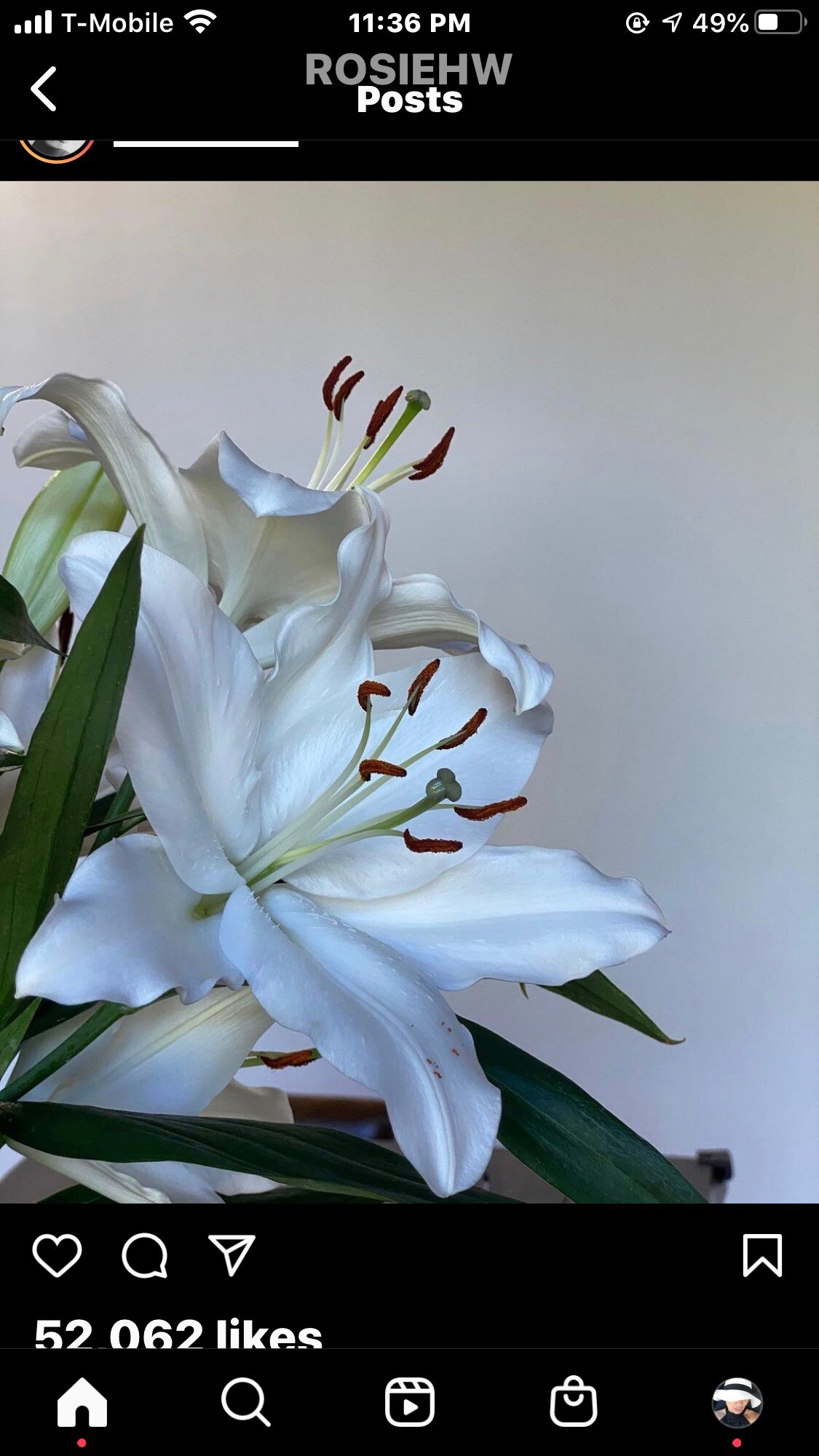 Building Photo - 7349 Balboa Blvd