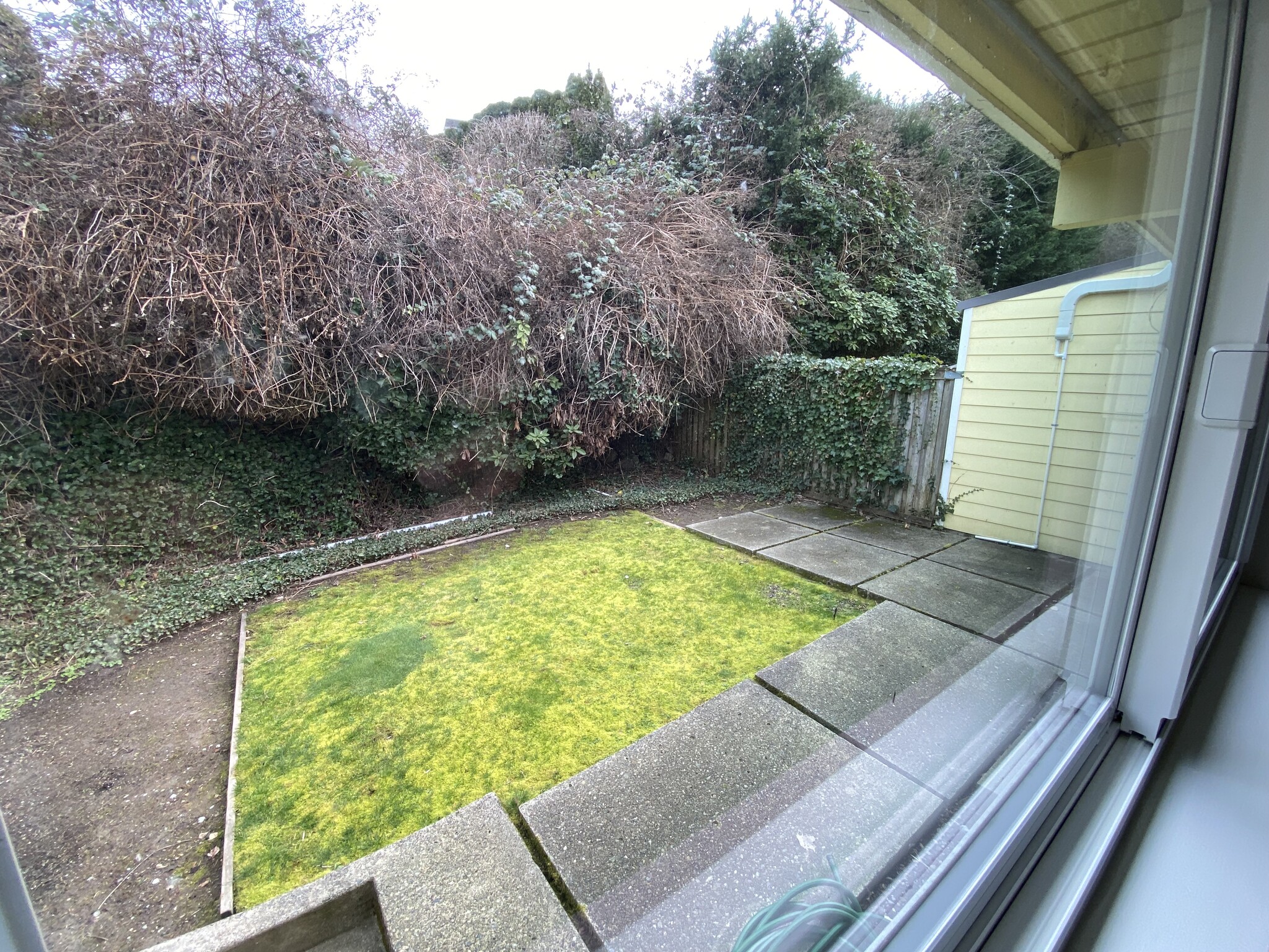 Second bedroom overlooks garden - 714 1st St S