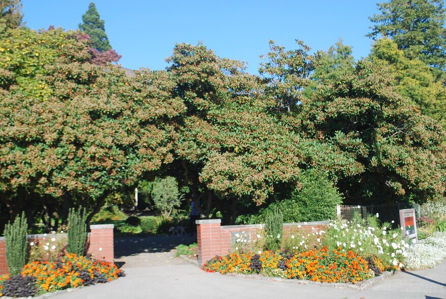 Parsons Garden is one of many cool, green areas for picnics, etc. - 216 W Boston St