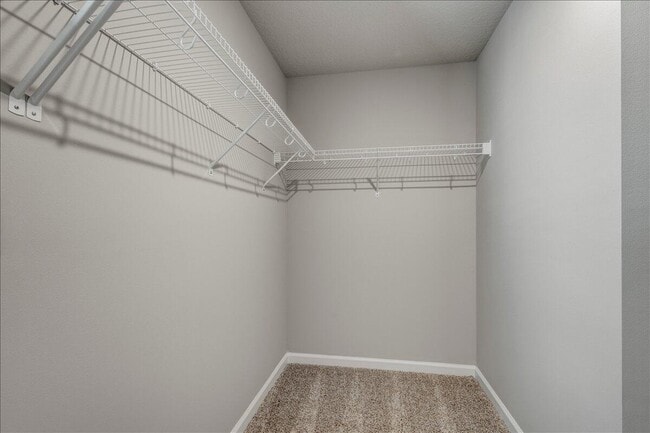 Building Photo - 257 Osprey Preserve Blvd