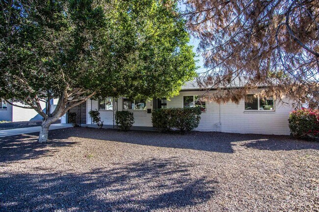 Building Photo - Biltmore District Luxury – 3 month leases avaialble 2,795.00