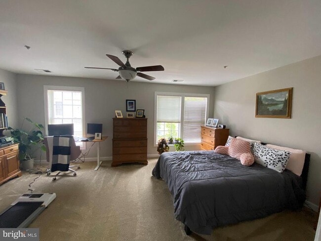 Building Photo - 8143 Skelton Cir
