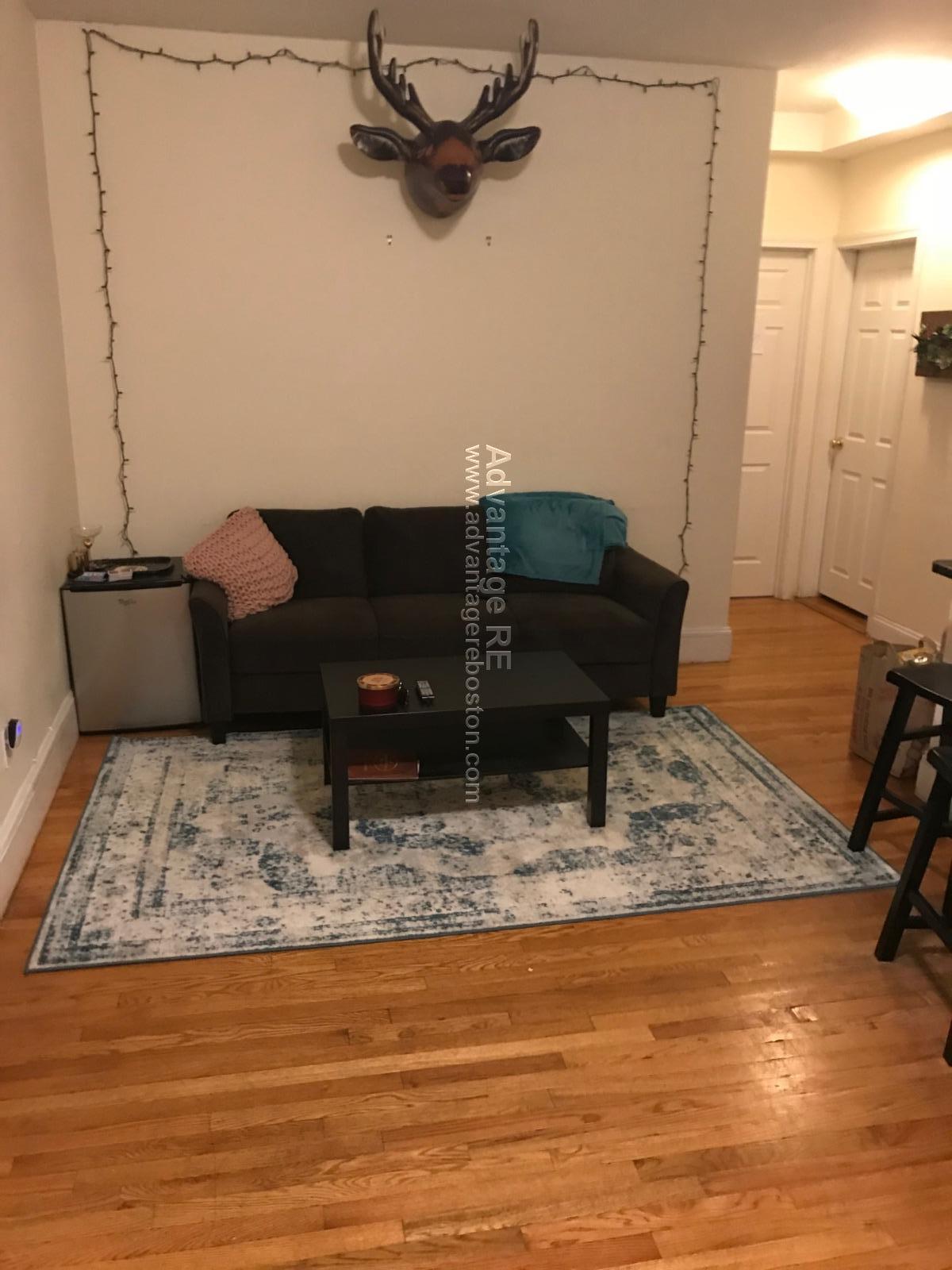 Building Photo - 62 Egmont St