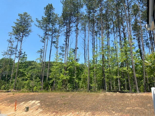 Building Photo - 425 Hazy Hls Ln