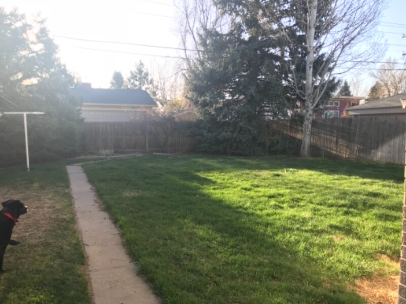 Building Photo - 1150 S Jackson St