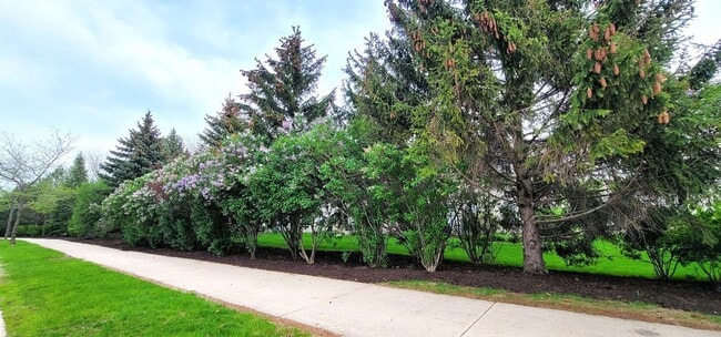 Building Photo - 10520 Wakefield Ln