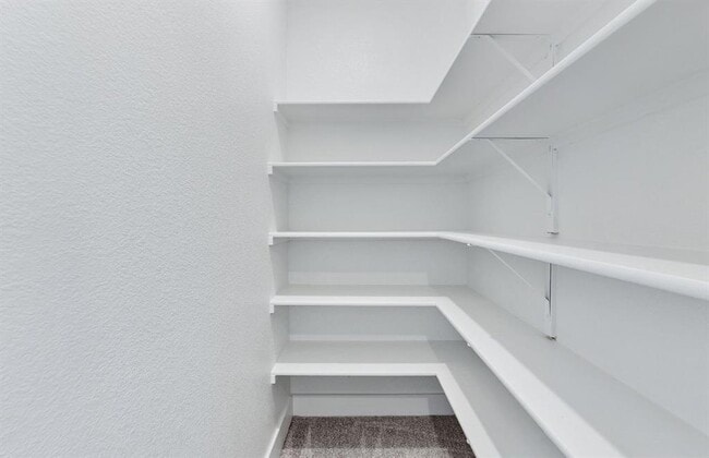 Building Photo - 1955 Settlers Glen Dr