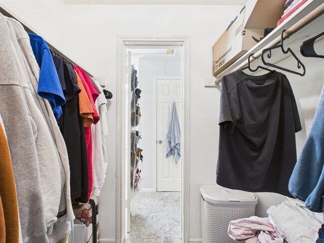 Building Photo - 2529 Rio Grande St