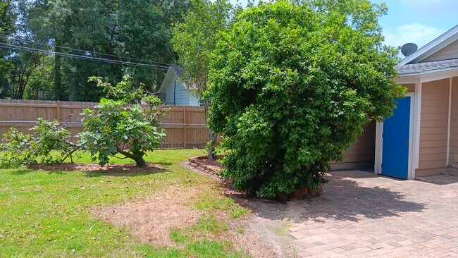 Backyard - 112 N Division St