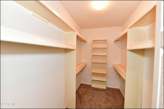 Building Photo - 3212 Canyon Point Ln