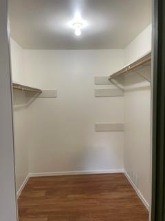 Building Photo - 9101 Rockcrest Cir
