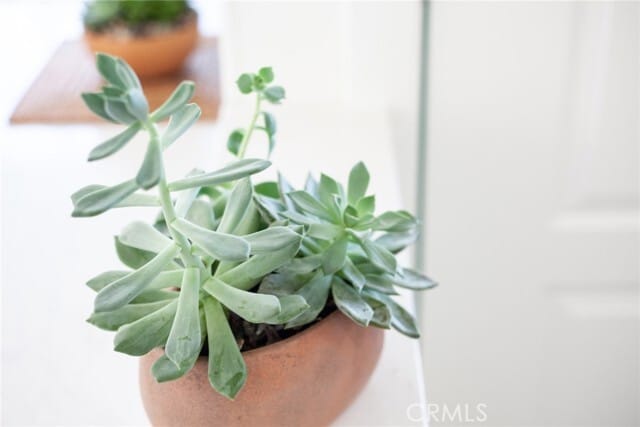 Building Photo - 25662 Cresta Loma