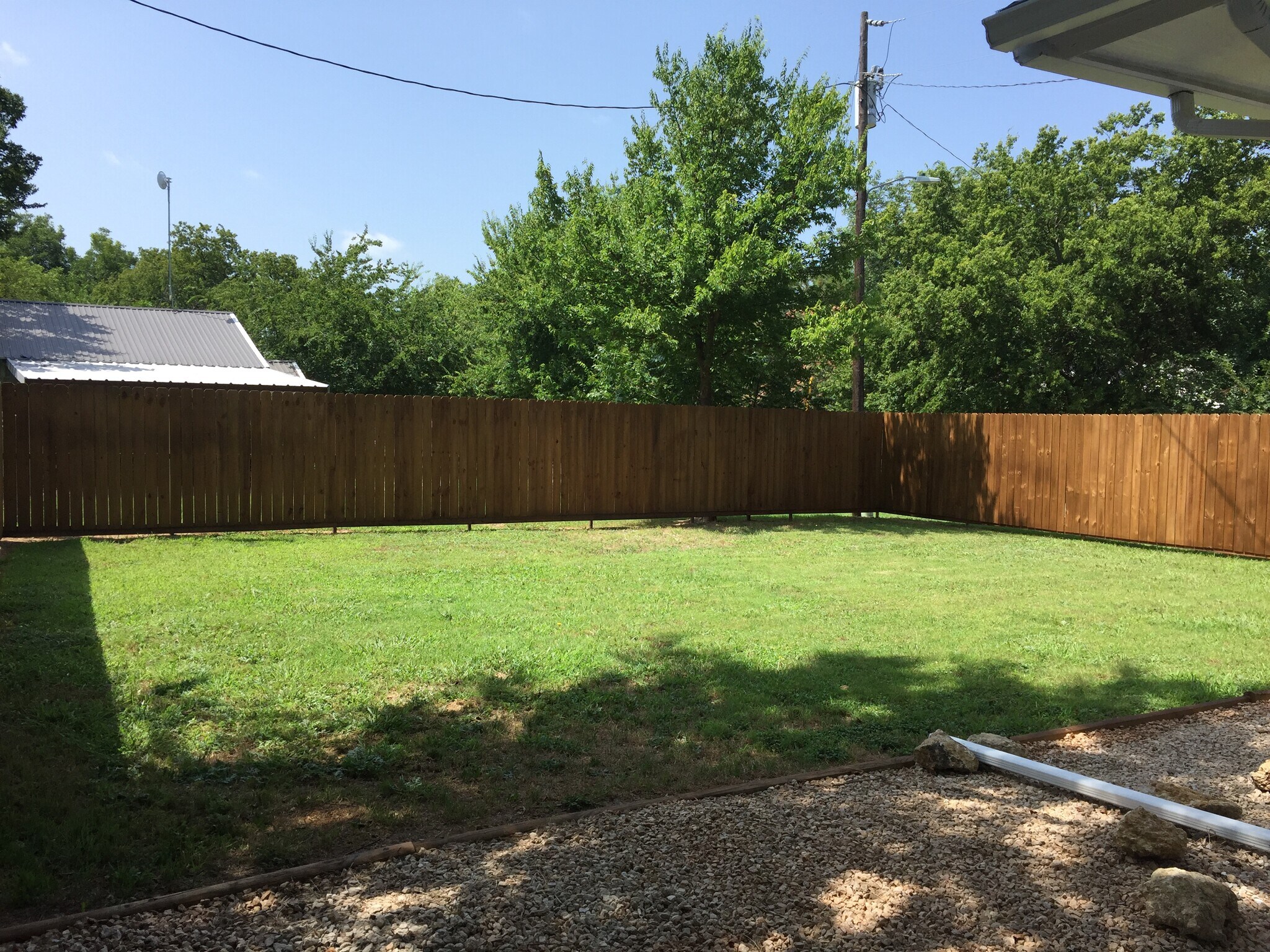 Back yard - 310 East 3rd St.