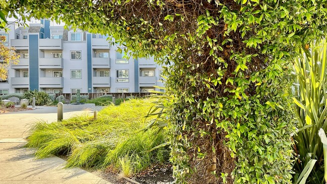 Building Photo - Water Views from this West-Facing Top Floo...