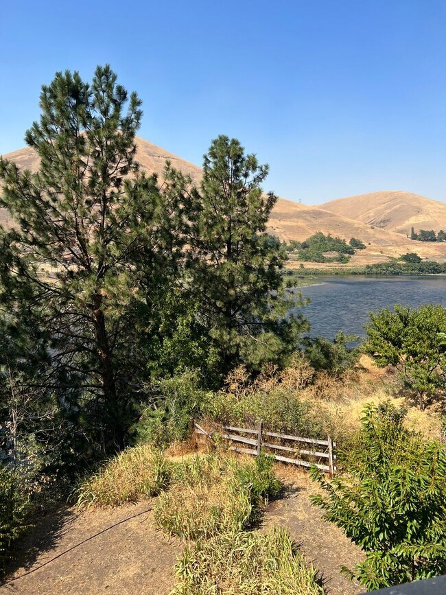 Building Photo - Custom Built Home on the Clearwater River - 20 minutes from Lewiston, ID