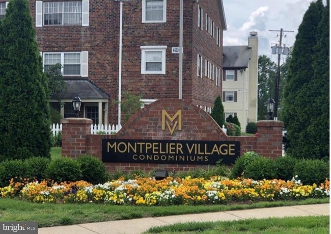 Building Photo - 10303 45th Pl