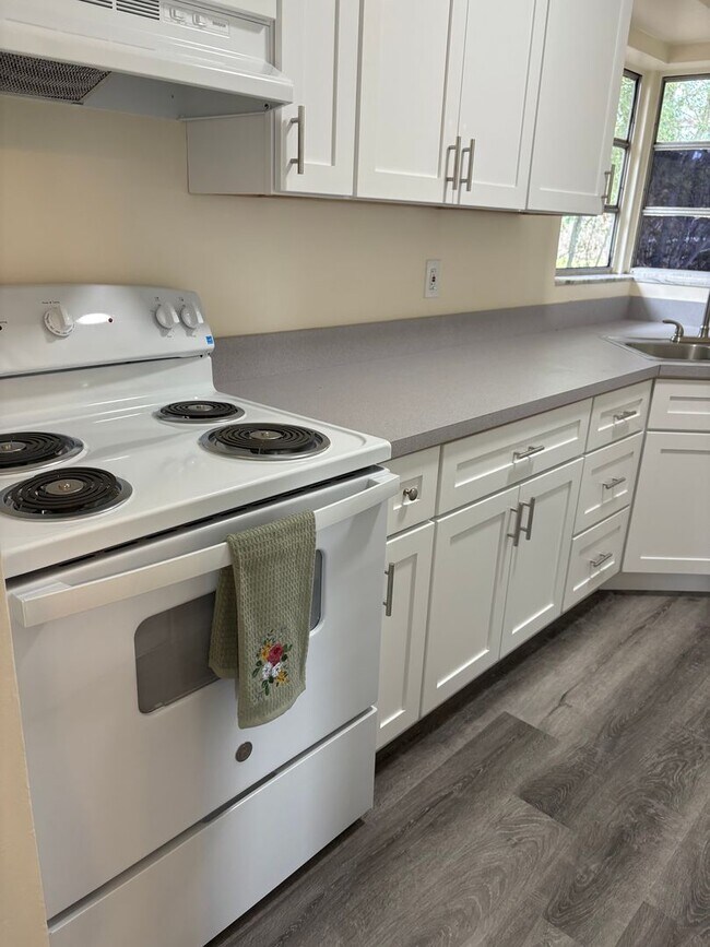 Building Photo - Totally Remodeled Deltona Beauty