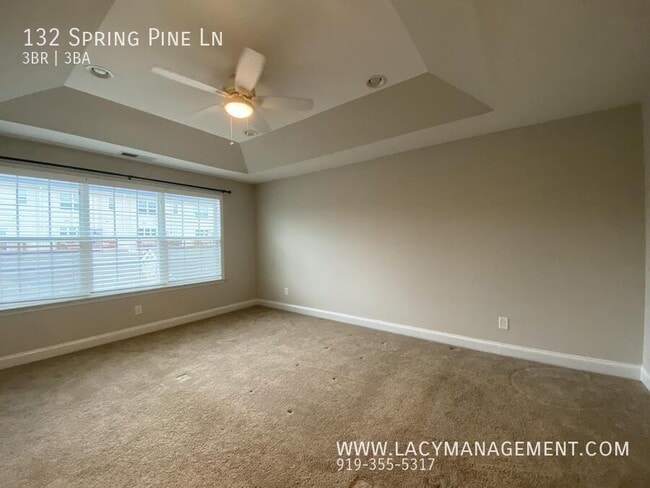 Building Photo - 132 Spring Pine Ln