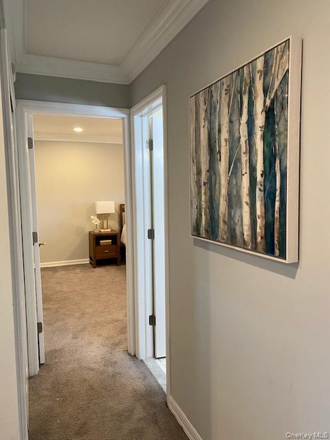 Building Photo - 59 Claire Ct