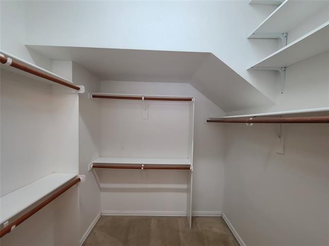 Building Photo - 9729 Stripling Dr