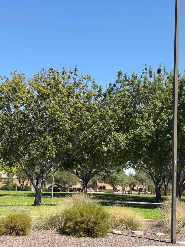 Building Photo - 2741 E Quiet Hollow Ln