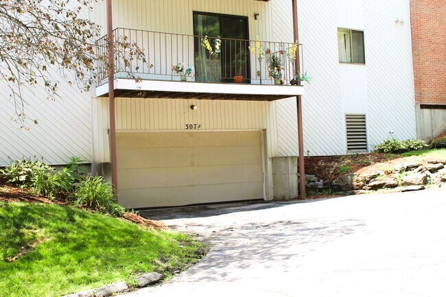 Building Photo - 307B Amherst St