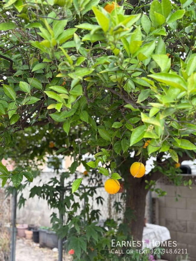 Building Photo - 8447 Wheatland Ave