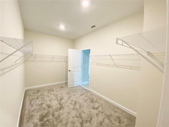 Building Photo - 2768 Norway Maple Ct