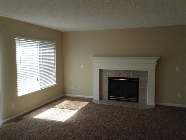 Building Photo - 10099 Brandsteade Ct