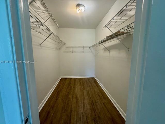 Building Photo - 3123 Oakland Shores Dr
