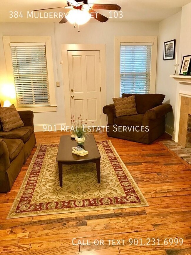 Building Photo - 384 Mulberry St