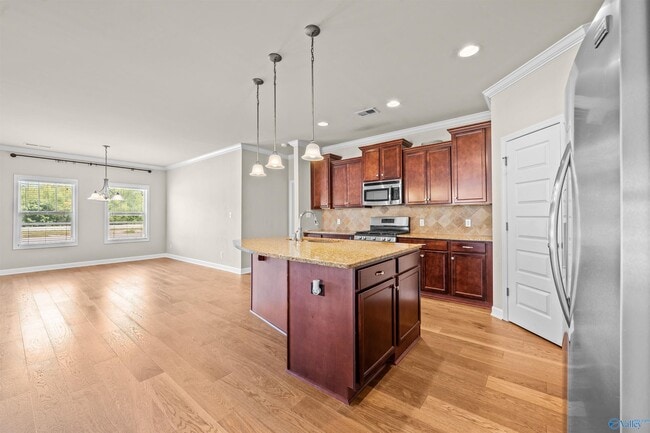 Building Photo - 3013 Mallard Point Dr SE