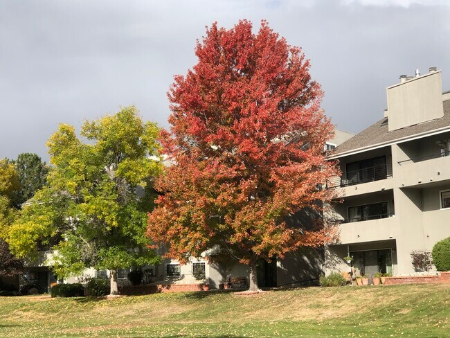 Building Photo - 10540 W Jewell Ave