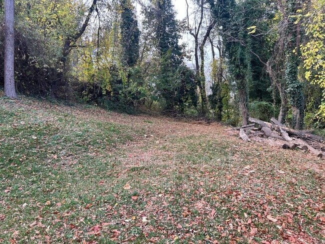 Building Photo - 1014 Hall St