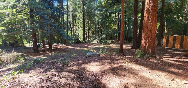 Building Photo - Cabin In the Wood!