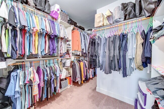 Building Photo - 3707 Main Poplar Dr