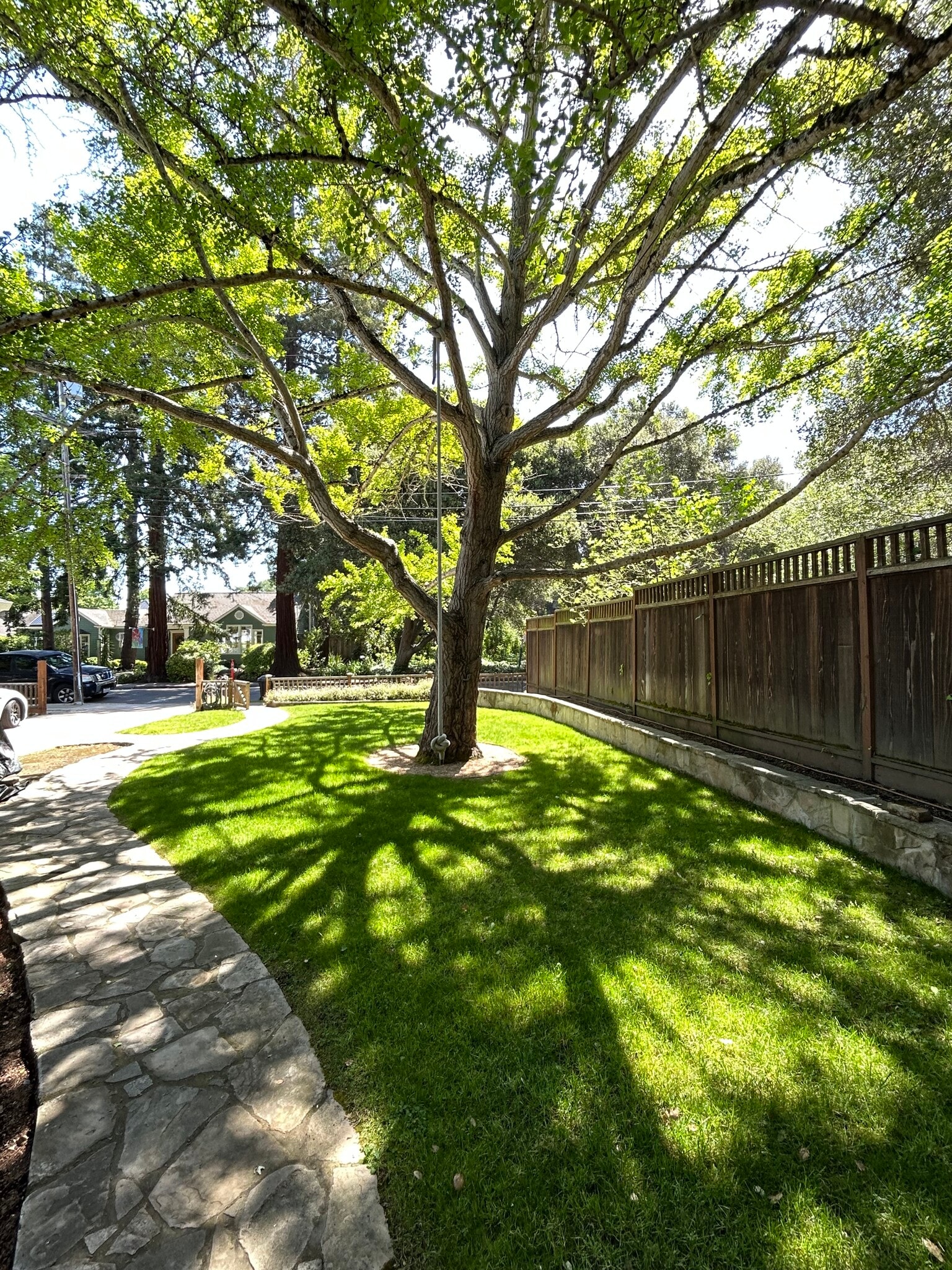 Building Photo - 903 Timothy Ln