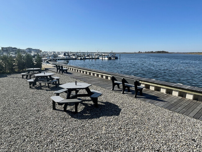 Picnic Area - 1382 Ocean Ave