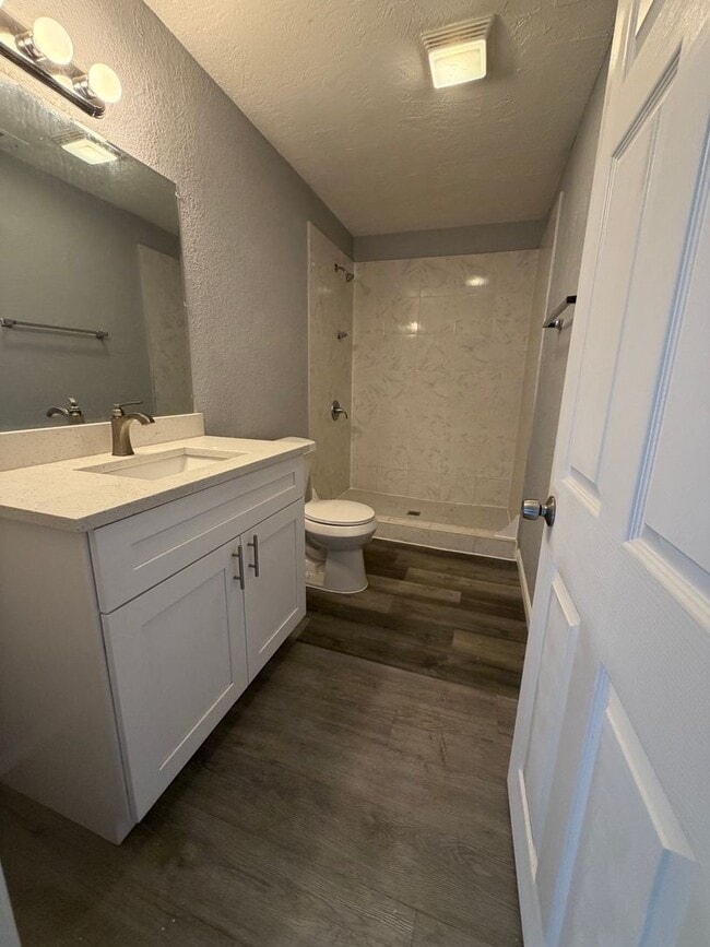 Building Photo - Welcome to St. Petersburg!!!