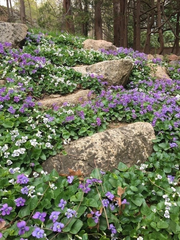 Building Photo - 918 Hale St